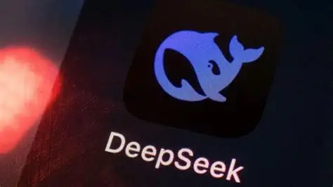 DeepSeek权限列表